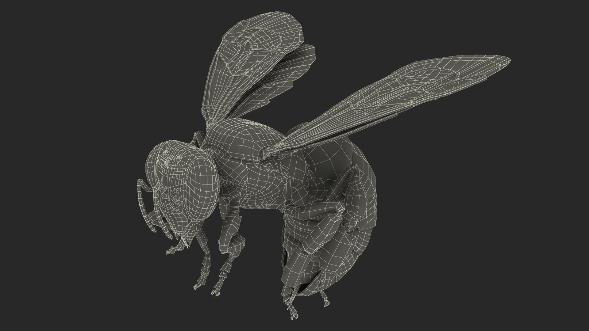 Honeybee Fur 3D model https://p.turbosquid.com/ts-thumb/6T/MwrX71/Va/honeybee_fur_021/jpg/1738108709/1920x1080/fit_q87/a45874beb00f2f530530f21117a099c851f13529/honeybee_fur_021.jpg
