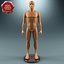 Mannequins Collection