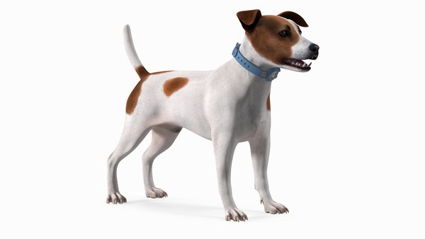 modelo 3d Jack Russell Terrier con Apple Dog Tracker TurboSquid