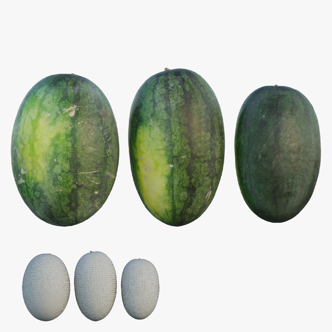 modelo 3d Sandía TurboSquid 1918165