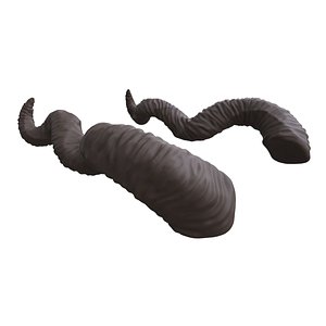 3D Twisted Horns - Faerne - Ashley