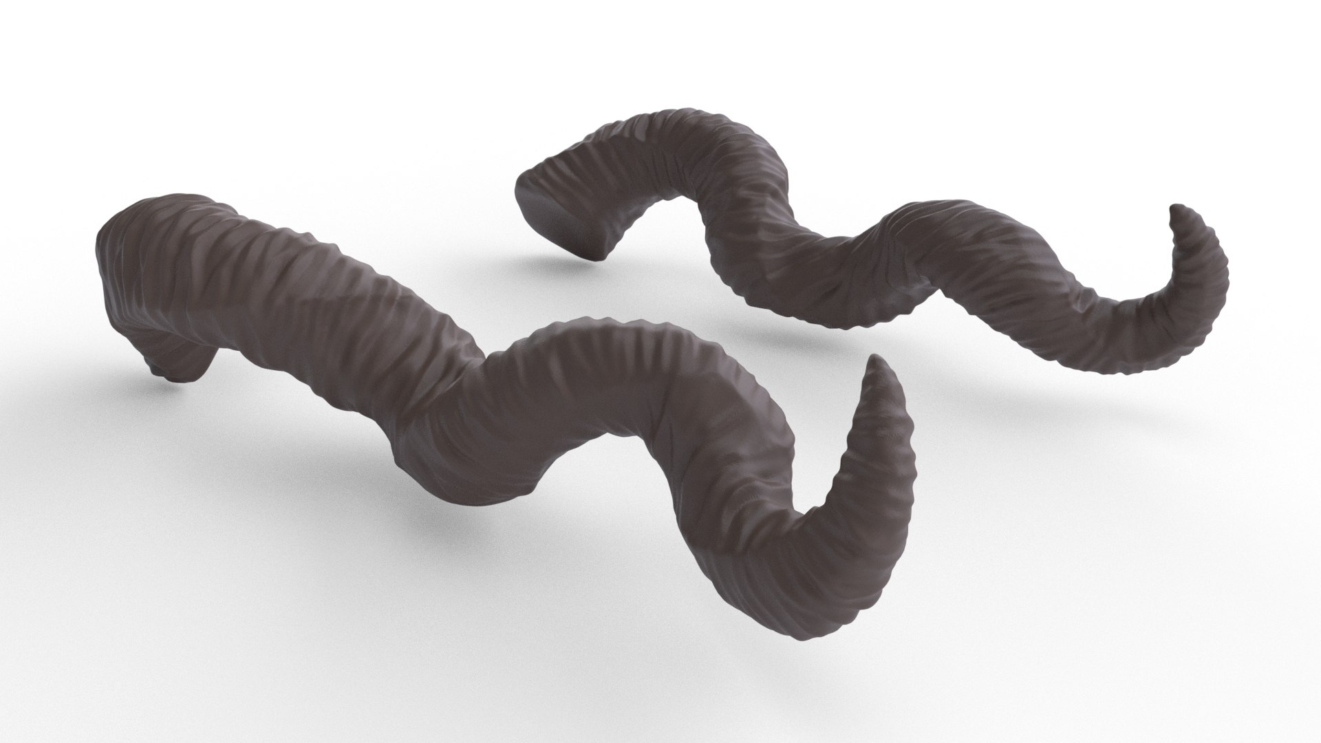 3D Twisted Horns - Faerne - Ashley https://p.turbosquid.com/ts-thumb/6T/Y1d3Bi/Vs/faerne02/jpg/1630026065/1920x1080/fit_q87/e04881d155670624f1029915737024feb1cc08be/faerne02.jpg
