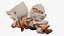 POKEMON Arcanine Animated Game Already