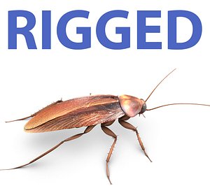 cockroach