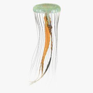 jellyfish 02 3d max