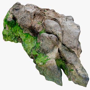 3D rock scan beach model
