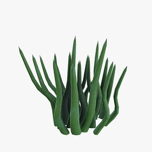 Ashen Grass 3D model