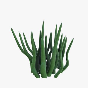 Ashen Grass