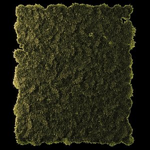 Moss Disk Set Low Poly