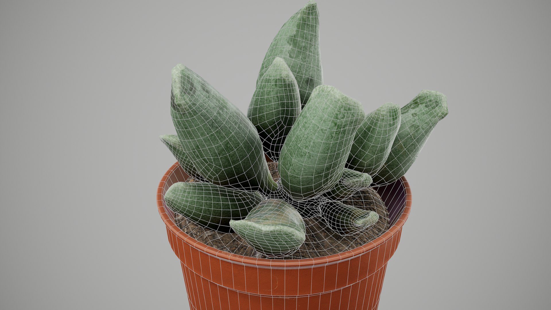 Succulent Plant 3D model https://p.turbosquid.com/ts-thumb/6T/sBALlV/91/succulentplant_010/png/1648018837/1920x1080/fit_q87/4f05593245e263448b57115da5a3f5271596ba53/succulentplant_010.jpg