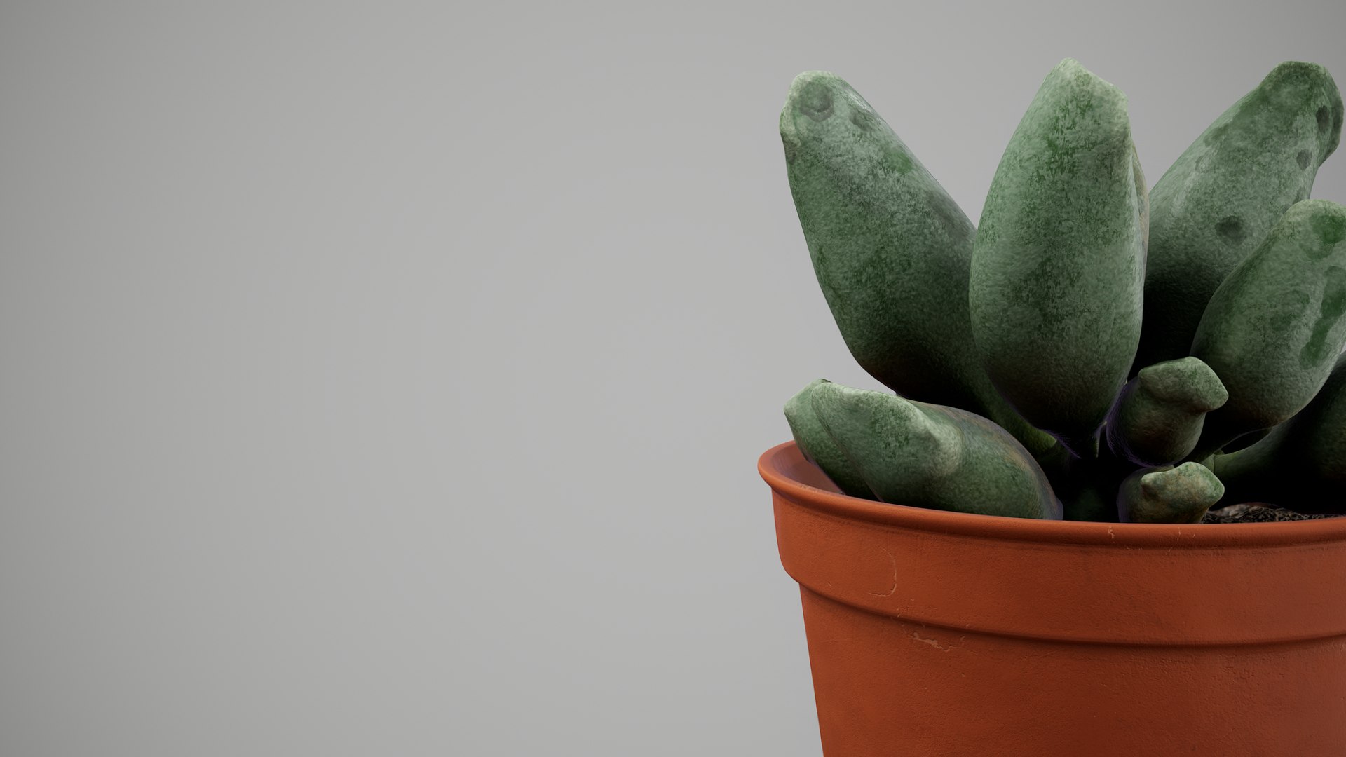Succulent Plant 3D model https://p.turbosquid.com/ts-thumb/6T/sBALlV/Nh/succulentplant_005/png/1648018797/1920x1080/fit_q87/cda9036251ed11189c08b0d22982ffe5ca410ef8/succulentplant_005.jpg