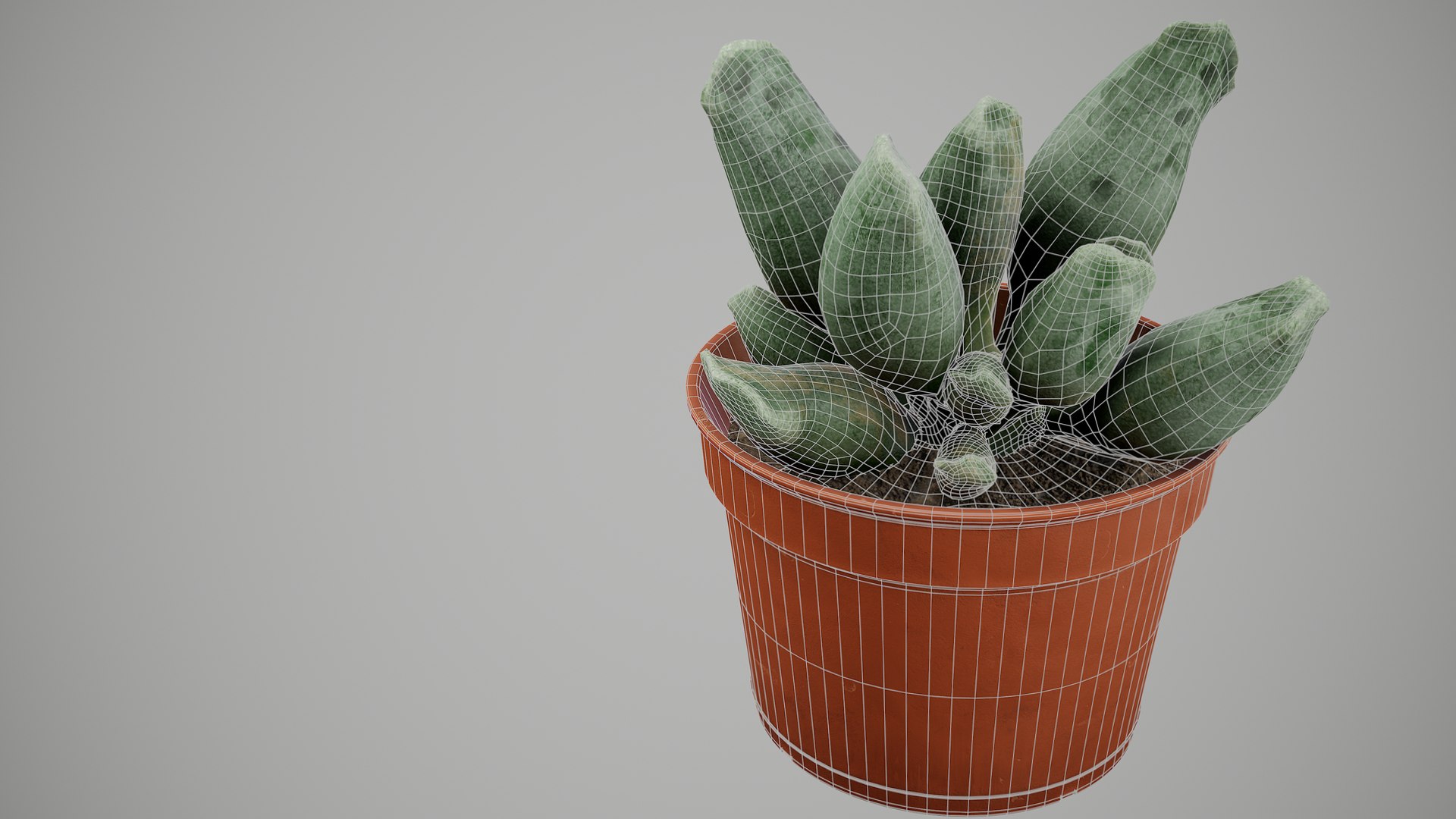 Succulent Plant 3D model https://p.turbosquid.com/ts-thumb/6T/sBALlV/UA/screenshot014/png/1648018812/1920x1080/fit_q87/9a3bfc0920fa01821c41e388109ccb6136db548c/screenshot014.jpg