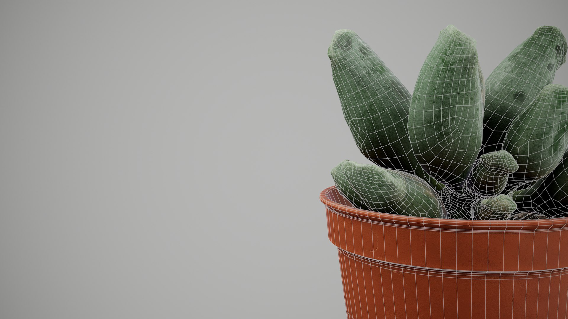 Succulent Plant 3D model https://p.turbosquid.com/ts-thumb/6T/sBALlV/WZ/screenshot013/png/1648018809/1920x1080/fit_q87/bc4024d2fd9662982dadf1e68ef06946d5dcb5cc/screenshot013.jpg