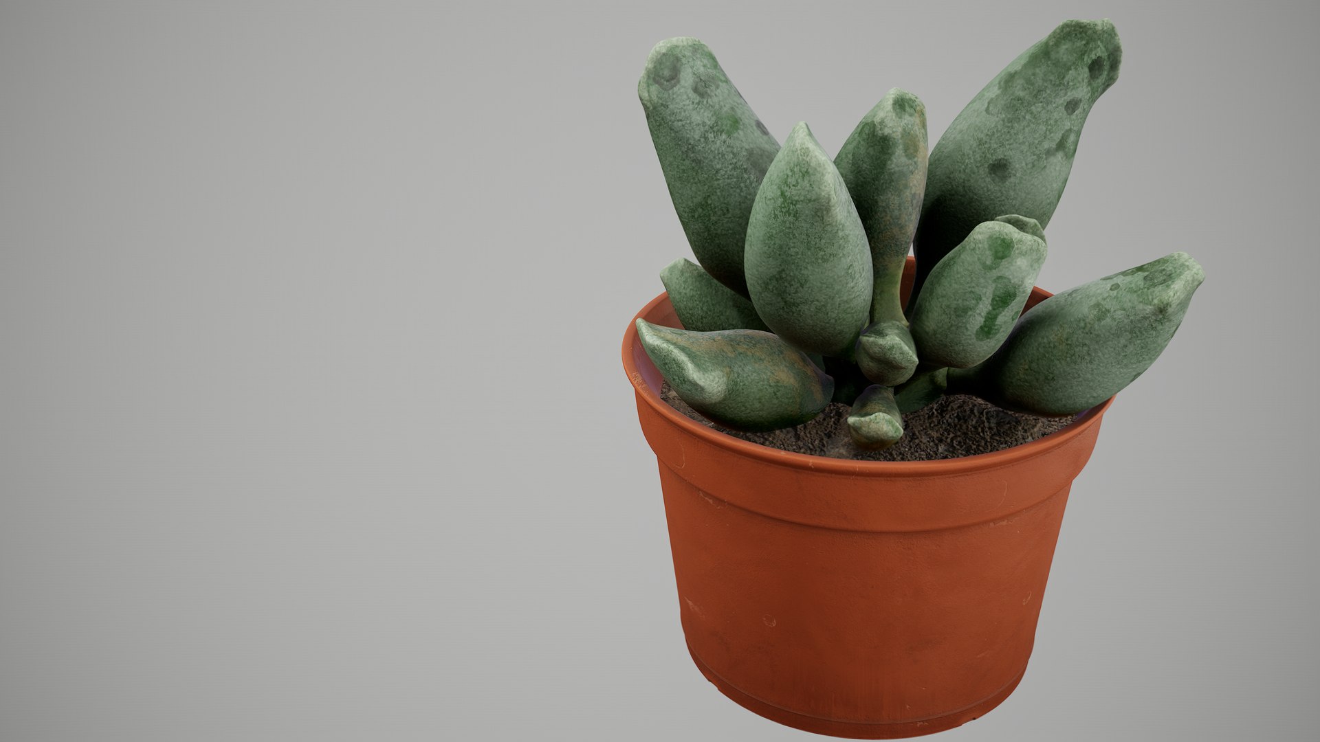 Succulent Plant 3D model https://p.turbosquid.com/ts-thumb/6T/sBALlV/YO/succulentplant_006/png/1648018833/1920x1080/fit_q87/6a6c3b5e2ccd3cbf03b0b71ae35d3ab161004600/succulentplant_006.jpg