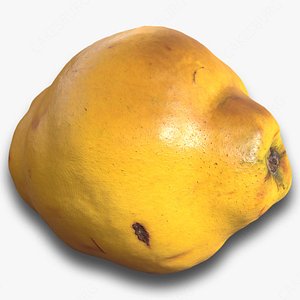 3D model Quince