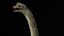 Dinosaur Brachiosaurus Sauropod model
