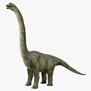 Dinosaur Brachiosaurus Sauropod model