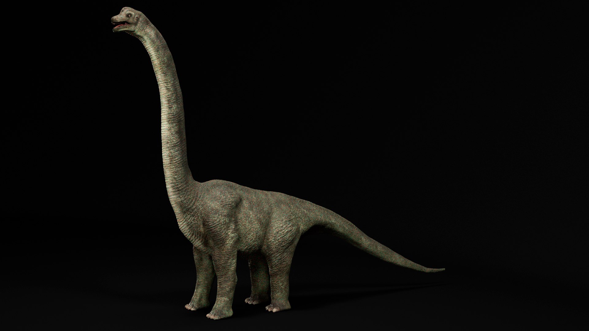 Dinosaur Brachiosaurus Sauropod model https://p.turbosquid.com/ts-thumb/6T/yYr8Wh/yw/s1/jpg/1741114803/1920x1080/fit_q87/2adb62f337d6c620e08ac9e97d6df248c0e9b4e9/s1.jpg