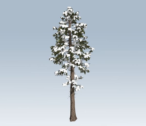 Tree winter pine model - TurboSquid 1367289