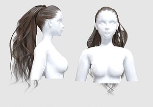 Ponytail Long Hair 3D model