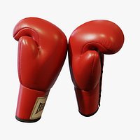 Boxing Gloves - Red Leather PBR
