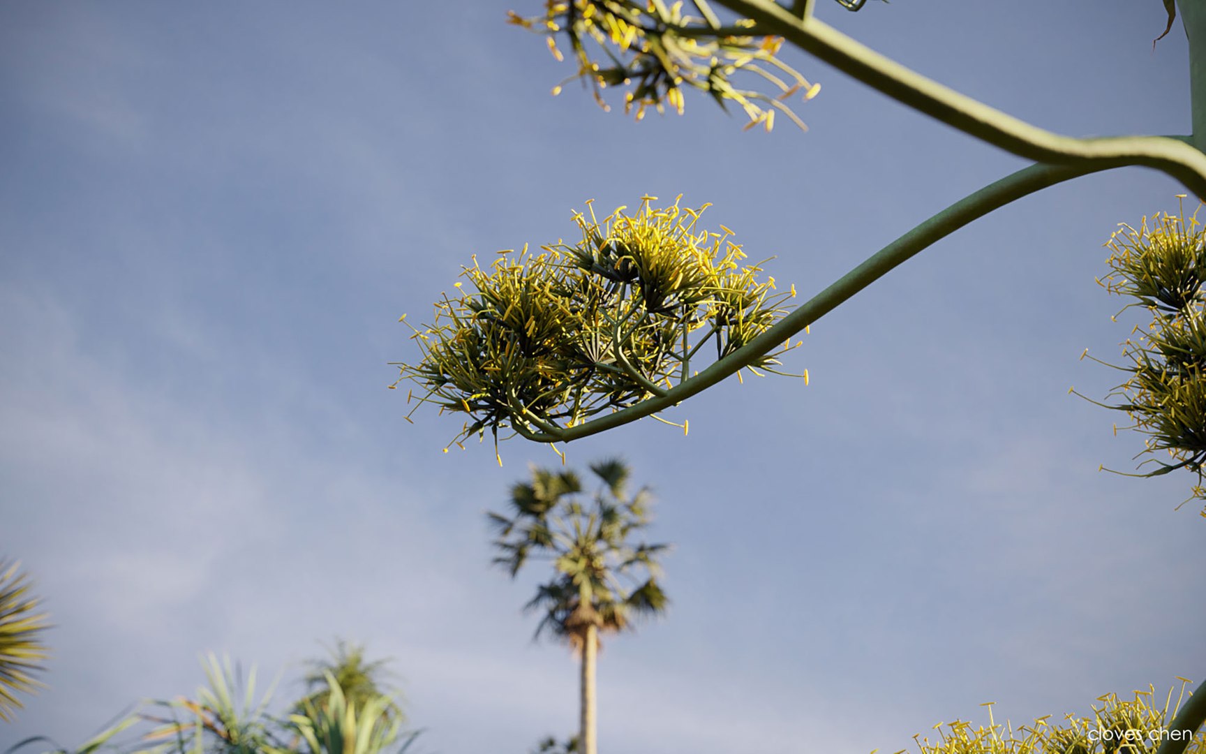 3D tropical desert plant includes model https://p.turbosquid.com/ts-thumb/6U/7VKVJo/As3UnQd6/cloveschenmaxtreedesrtplantcollection07/jpg/1605614834/1920x1080/fit_q87/938d804f445311b11c17c84d64b0b001a47ad509/cloveschenmaxtreedesrtplantcollection07.jpg