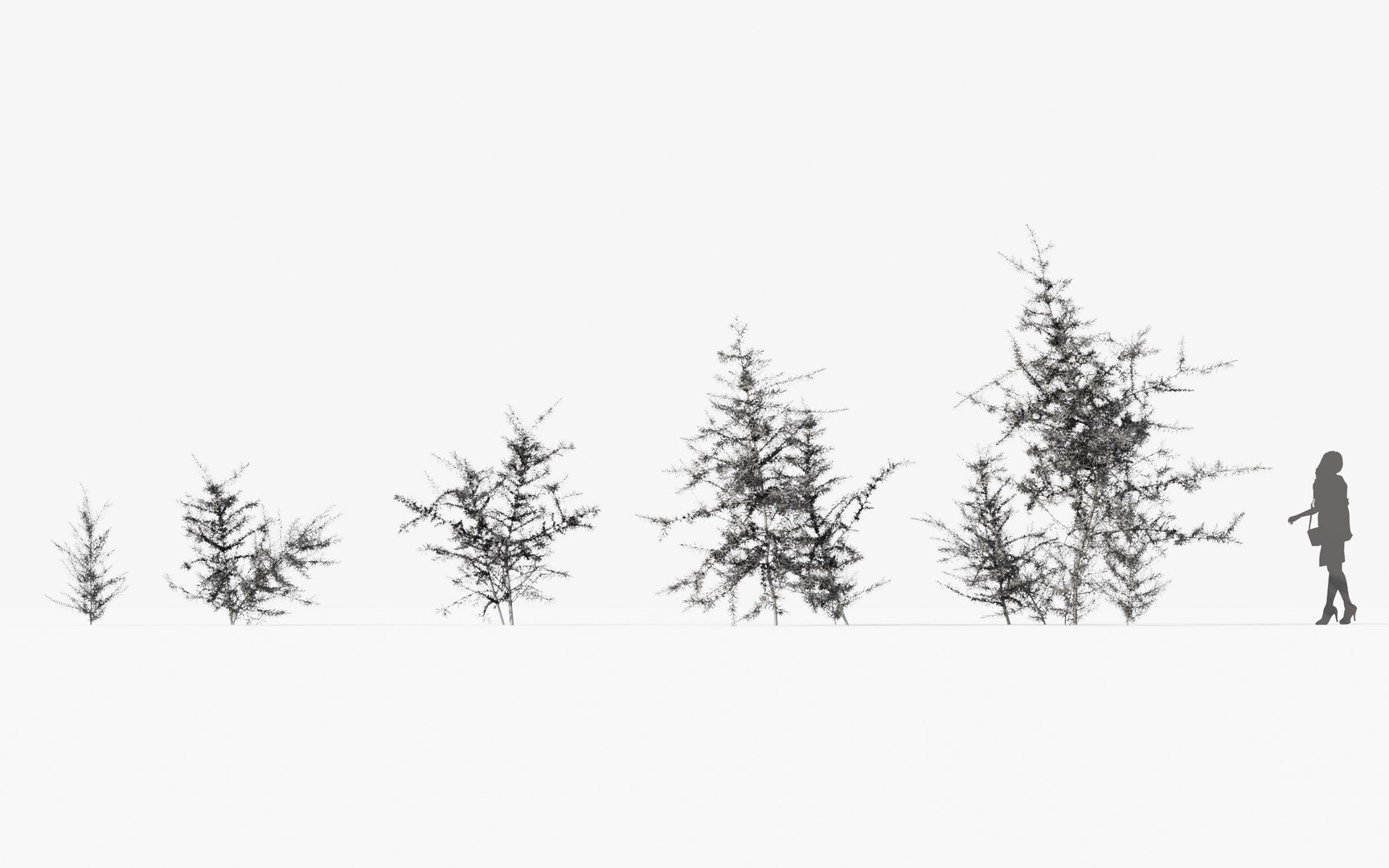 3D tropical desert plant includes model https://p.turbosquid.com/ts-thumb/6U/7VKVJo/IuIdPBad/mt_pm_opuntia_ficus_indica_01_wire/jpg/1605614836/1920x1080/fit_q87/3d839e27c7a45d9ff8c38fe422feb9e855ac7b35/mt_pm_opuntia_ficus_indica_01_wire.jpg