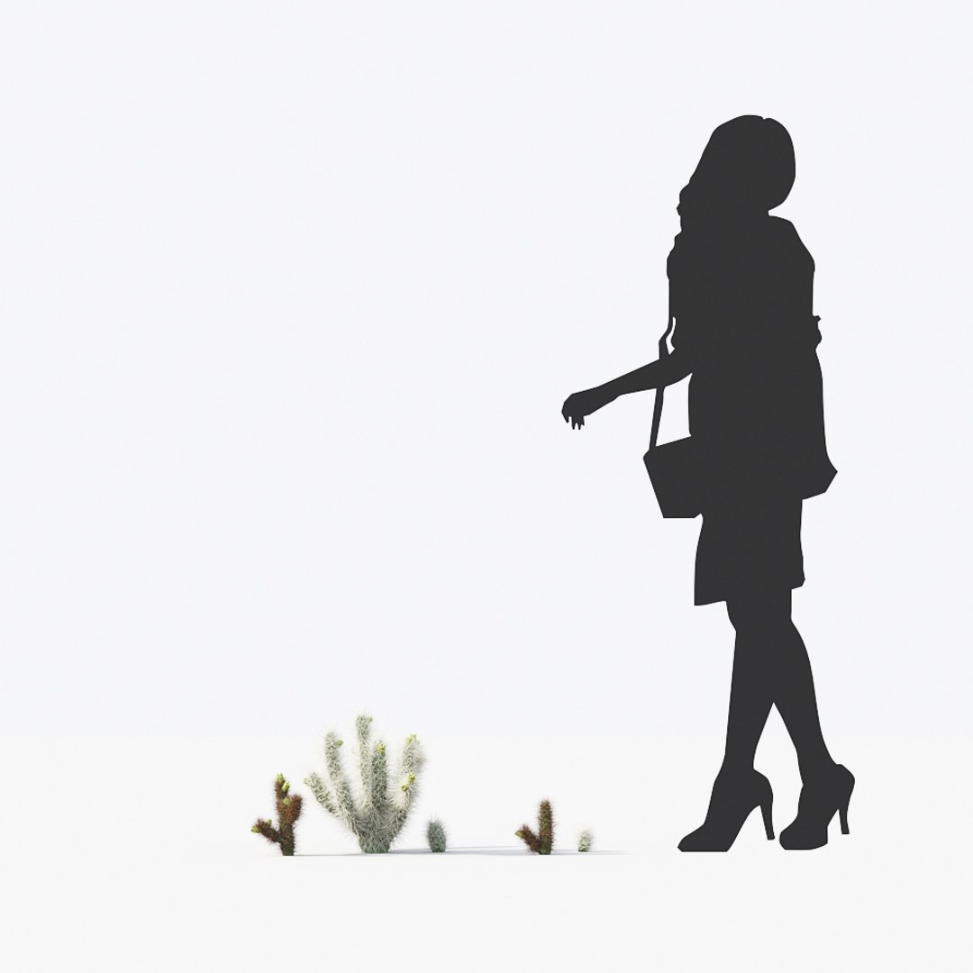 3D tropical desert plant includes model https://p.turbosquid.com/ts-thumb/6U/7VKVJo/ajK6KFi3/mt_pm_cholla_luminance_01_01/jpg/1605614835/1920x1080/fit_q87/ddf719fea2bcc860e3c937e6647bc30df354b4e8/mt_pm_cholla_luminance_01_01.jpg