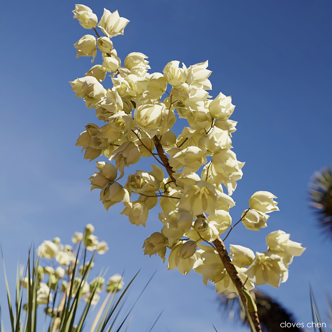 3D tropical desert plant includes model https://p.turbosquid.com/ts-thumb/6U/7VKVJo/ftgWNnha/cloveschenmaxtreedesrtplantcollection06/jpg/1605614834/1920x1080/fit_q87/0cf53b7495ae4df328767221f2013835fde9fe58/cloveschenmaxtreedesrtplantcollection06.jpg
