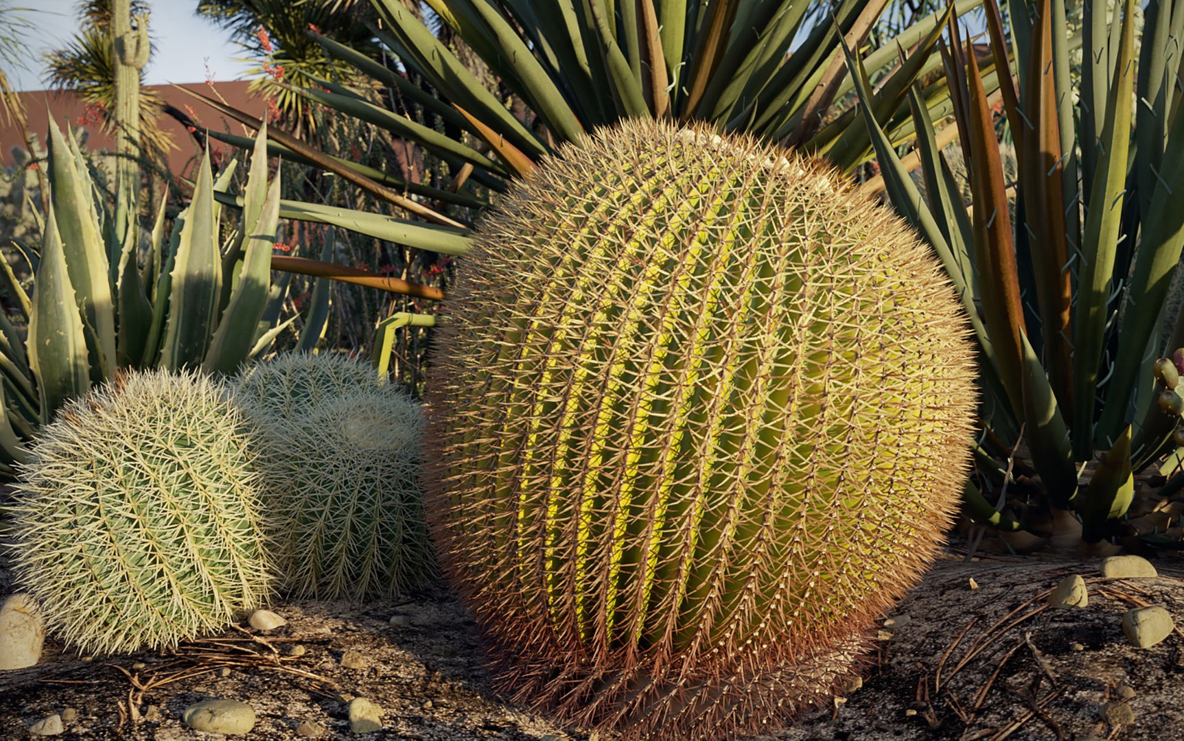 3D tropical desert plant includes model https://p.turbosquid.com/ts-thumb/6U/7VKVJo/lHU6UBVf/cloveschenmaxtreedesrtplantcollection11/jpg/1605614834/1920x1080/fit_q87/ad51ef9ae86e758a4e594804513fcb6bea671387/cloveschenmaxtreedesrtplantcollection11.jpg