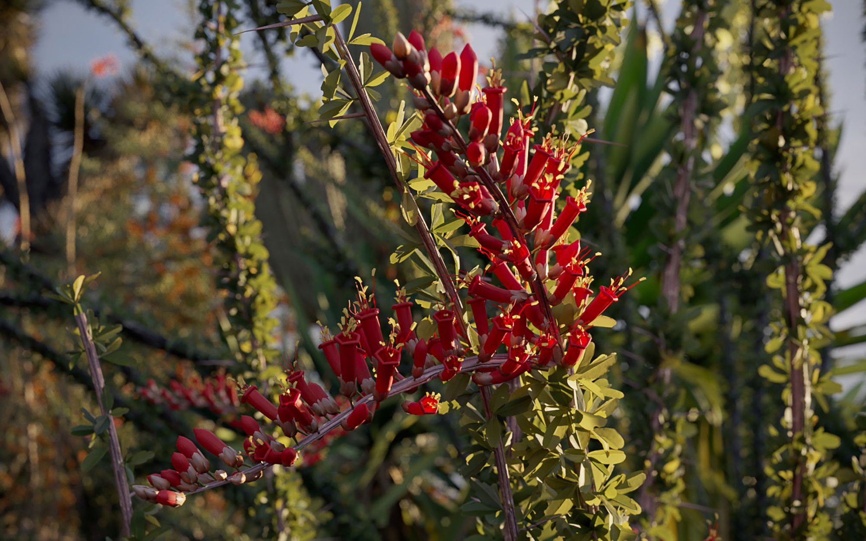 3D tropical desert plant includes model https://p.turbosquid.com/ts-thumb/6U/7VKVJo/vLQkxNrK/cloveschenmaxtreedesrtplantcollection13/jpg/1605614834/1920x1080/fit_q87/b25318b32bcdddb6eb33ff945f5b6f40110dea12/cloveschenmaxtreedesrtplantcollection13.jpg