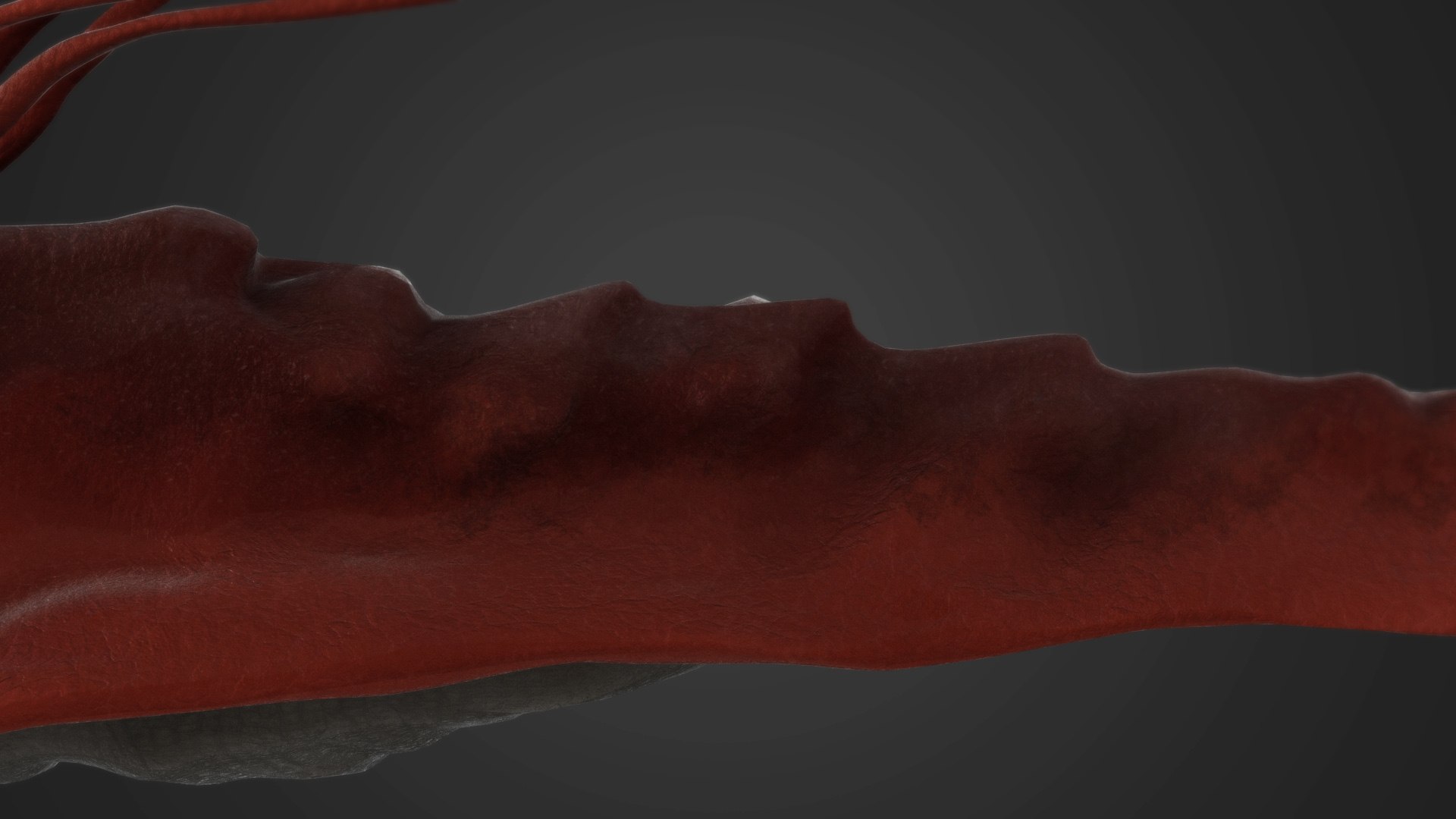 sea monster model https://p.turbosquid.com/ts-thumb/6U/Ev11Ss/11q9c5HZ/s10/jpg/1589010983/1920x1080/fit_q87/10d9ed6f4b4482864d7e7d2a9581de0ee666f6a2/s10.jpg