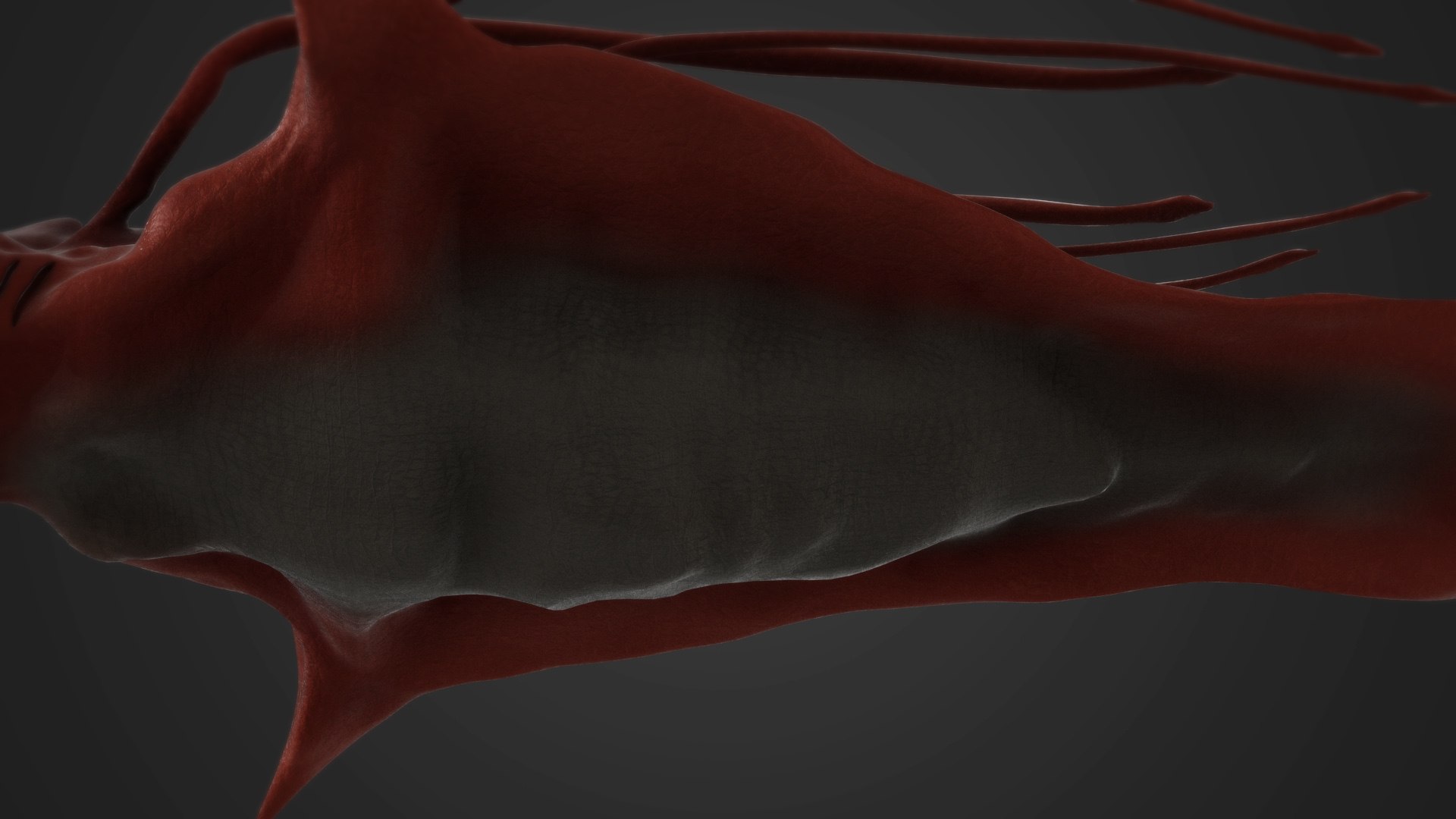 sea monster model https://p.turbosquid.com/ts-thumb/6U/Ev11Ss/YIuKLJXv/s3/jpg/1589010992/1920x1080/fit_q87/0a650eaaa981d3446cbc3b006f9e48e0d81a38c9/s3.jpg