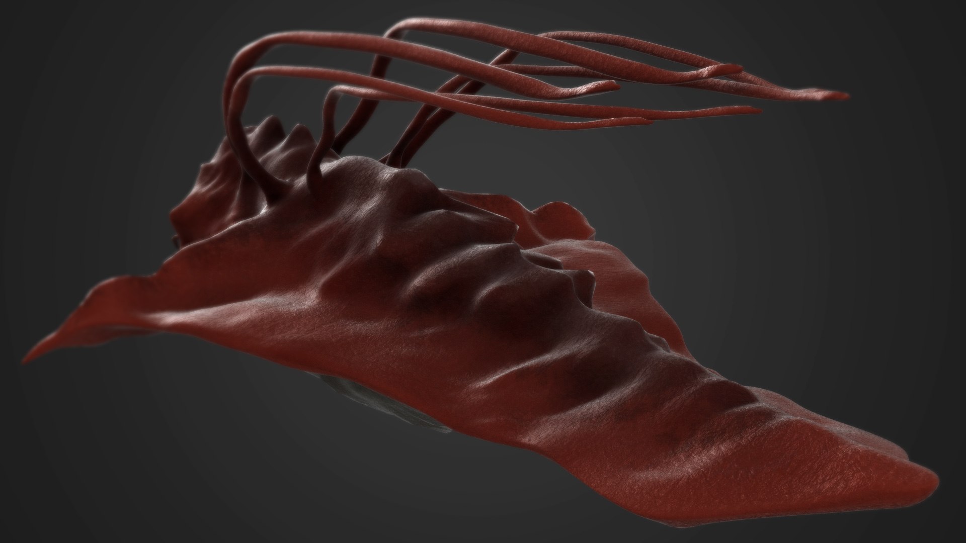 sea monster model https://p.turbosquid.com/ts-thumb/6U/Ev11Ss/aAOHymK5/s4/jpg/1589010971/1920x1080/fit_q87/238490dd82cab6785974b1453ad8e300e5b9c7d8/s4.jpg