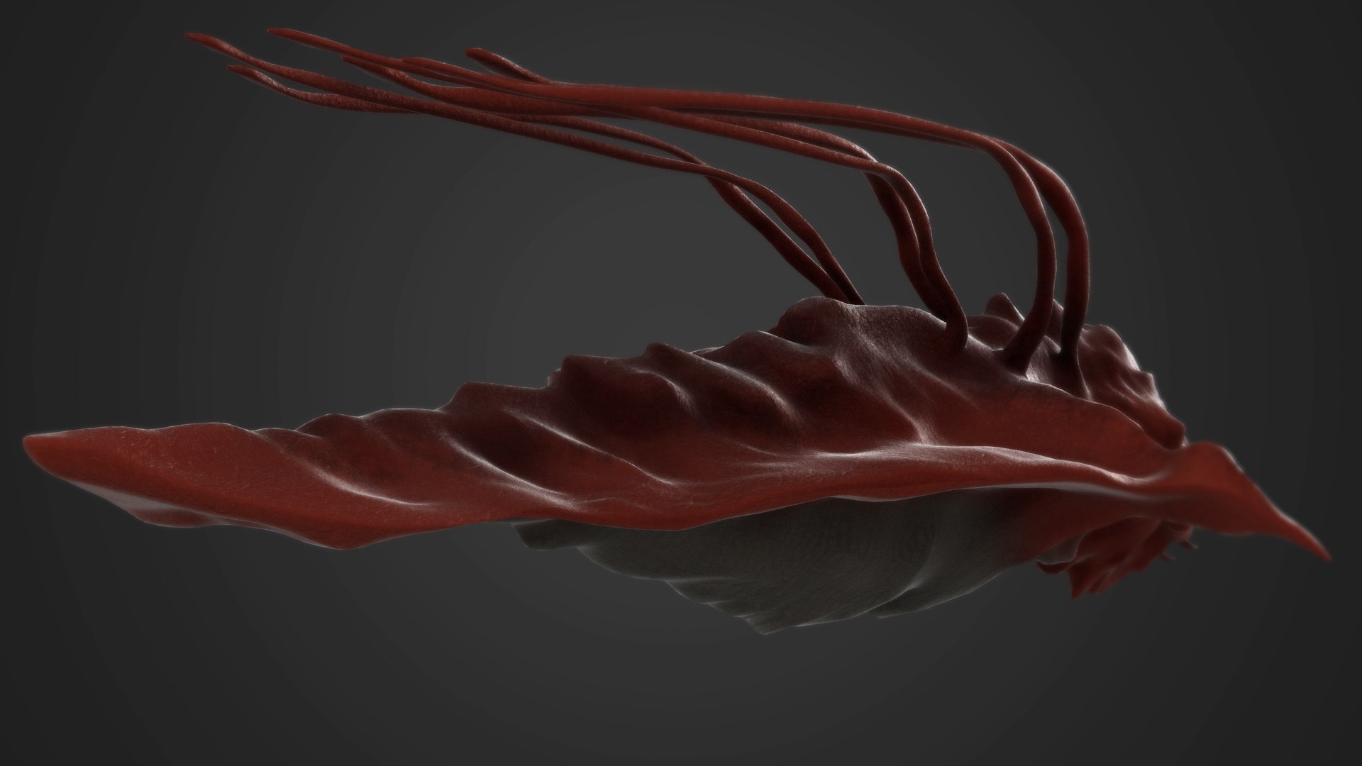 sea monster model https://p.turbosquid.com/ts-thumb/6U/Ev11Ss/rt4u4lco/s5/jpg/1589010979/1920x1080/fit_q87/65fa9e81cb28eaaad26b8c9981e11231dac04118/s5.jpg