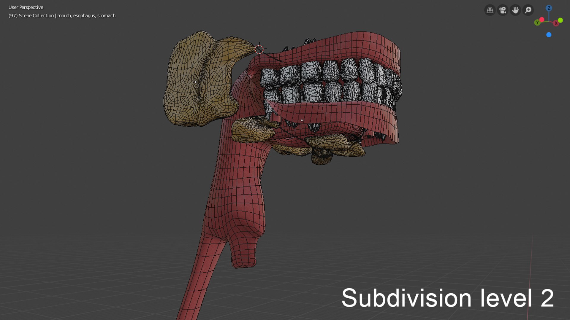 3D model digestive https://p.turbosquid.com/ts-thumb/6U/GCV5yw/aRTDKbCW/subdivisonlevel1/png/1569336226/1920x1080/fit_q87/226d4298becc2cb8eb287f07b05541e40947a828/subdivisonlevel1.jpg