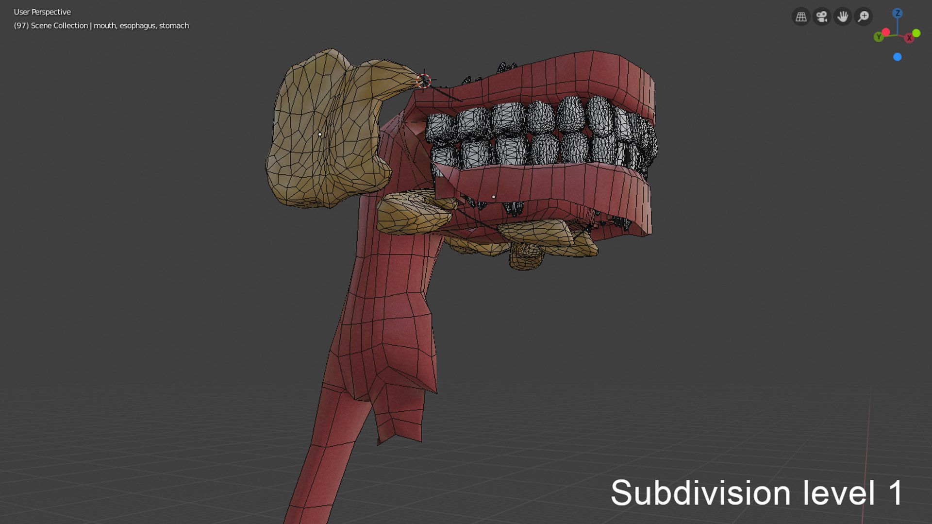 3D model digestive https://p.turbosquid.com/ts-thumb/6U/GCV5yw/gdKR7BXR/capturadepantallade20190924085837/png/1569336453/1920x1080/fit_q87/9b3df43c83e6d0df3068e800d55d66ff52560c75/capturadepantallade20190924085837.jpg
