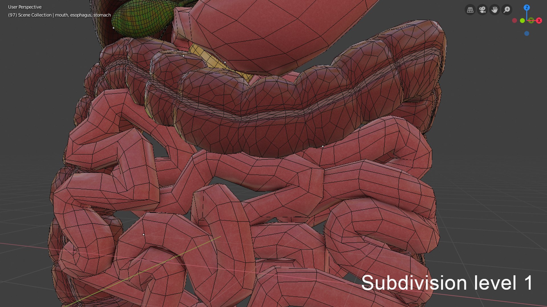 3D model digestive https://p.turbosquid.com/ts-thumb/6U/GCV5yw/yPFgODws/capturadepantallade20190924090339/png/1569336410/1920x1080/fit_q87/519d55bcd3e91dfb5eeb699b3a534762babee58a/capturadepantallade20190924090339.jpg