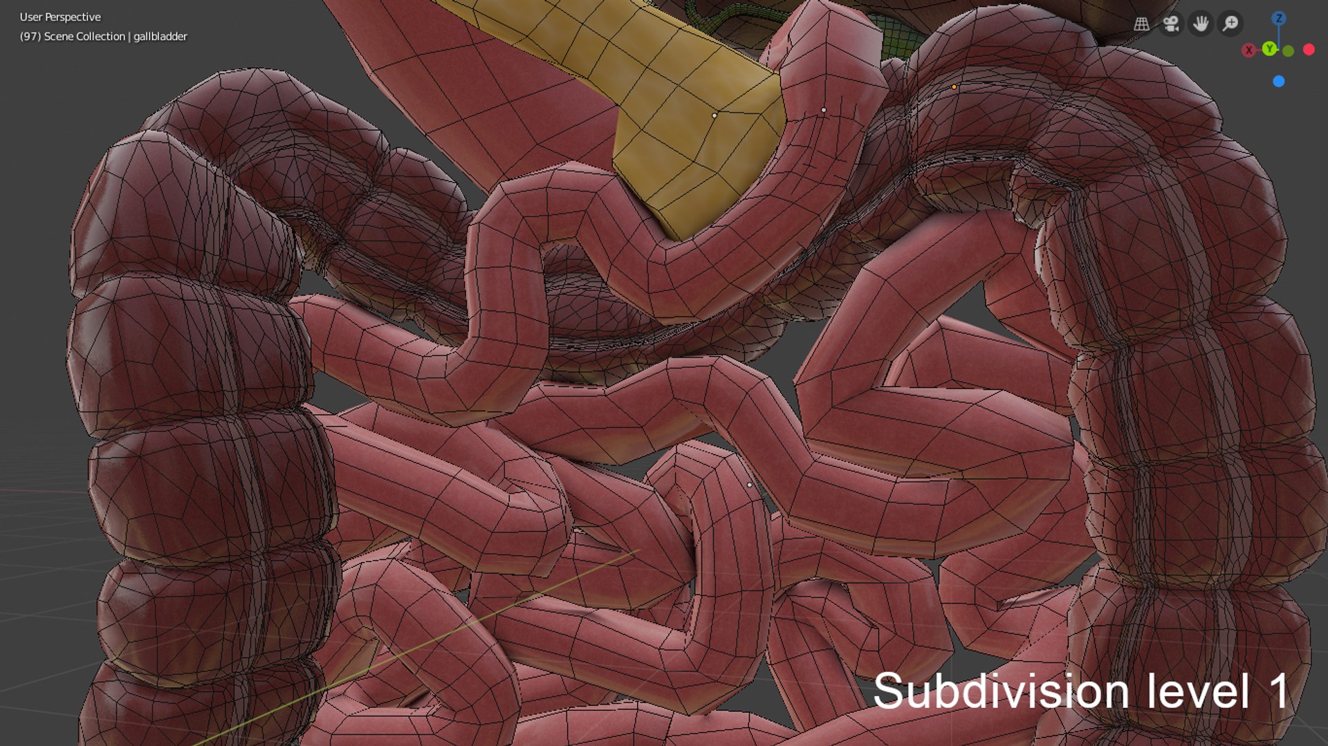 3D model digestive https://p.turbosquid.com/ts-thumb/6U/GCV5yw/yQzvZuwa/capturadepantallade20190924090445/png/1569336350/1920x1080/fit_q87/7ca38a6f26b68a0bb1aa933064a94e9c609735f0/capturadepantallade20190924090445.jpg
