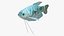 Coleção de Peixes de Aquário 2