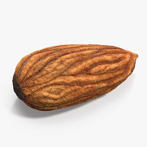 3D raw almond model
