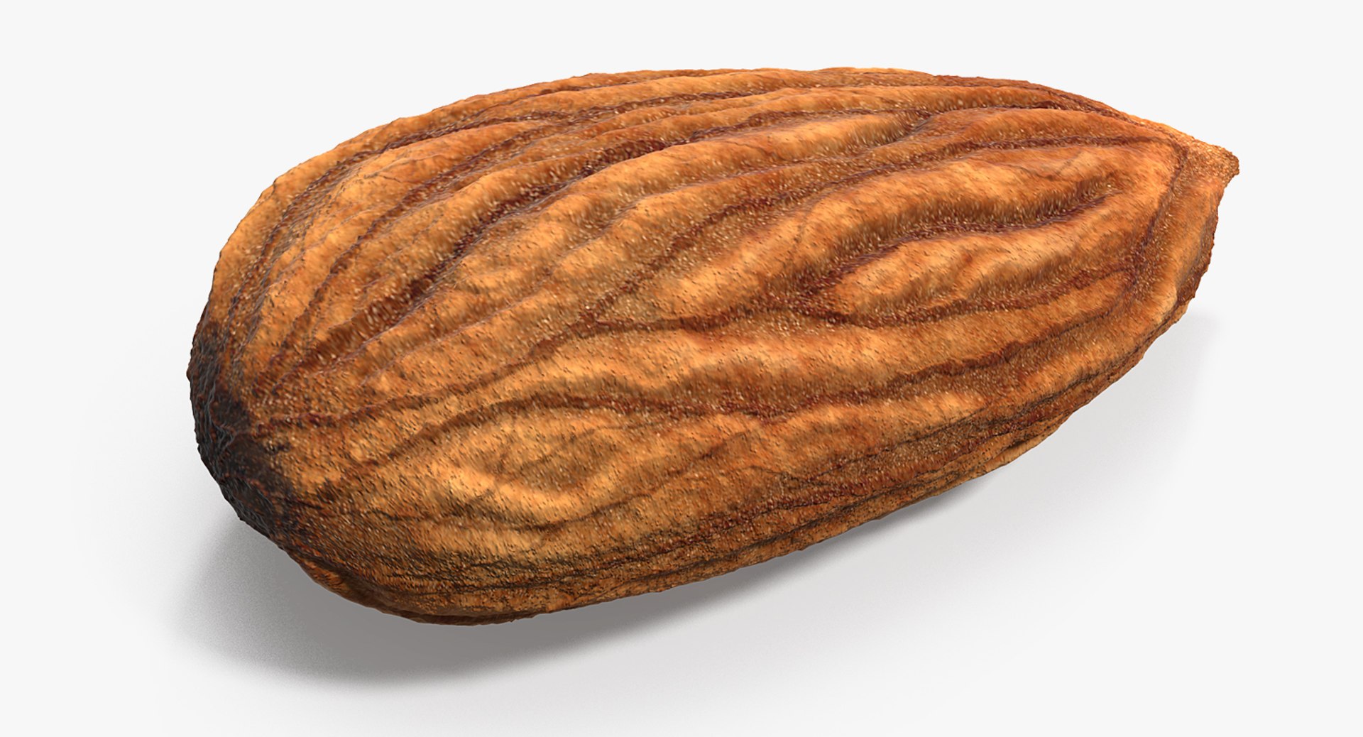 Raw Almond 3D model preview