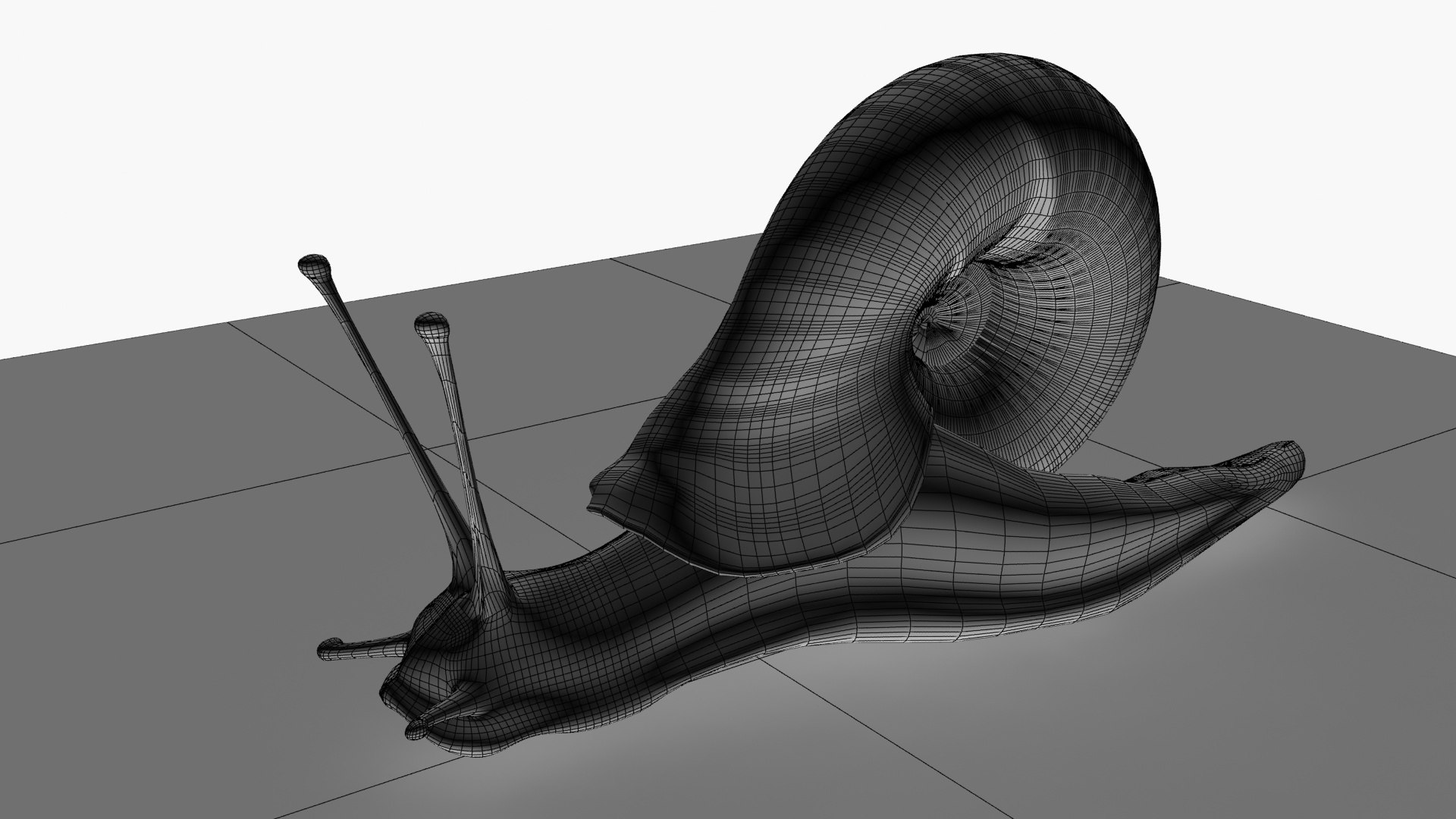 Snail Model - TurboSquid 1946182