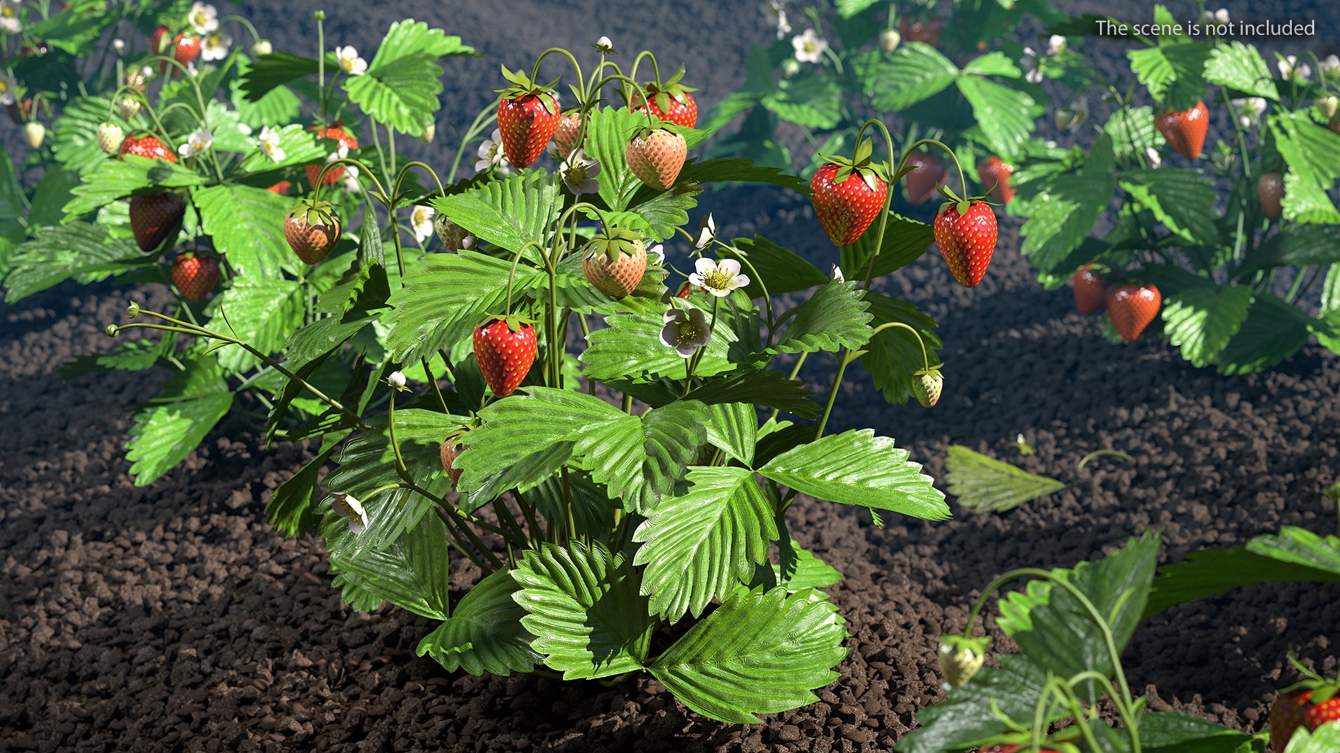 Rigged Gardening Lady with Greenhouse Collection 3D https://p.turbosquid.com/ts-thumb/6U/Q9O0xr/7u/riggedgardeningladywithgreenhousecollectionmb3dmodel052/jpg/1646747816/1920x1080/fit_q87/7cfe93b398d84cd0e08b8a2033e1d4861709fed5/riggedgardeningladywithgreenhousecollectionmb3dmodel052.jpg