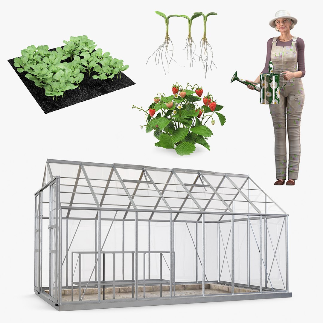 Rigged Gardening Lady with Greenhouse Collection 3D model preview