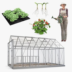 Rigged Gardening Lady with Greenhouse Collection