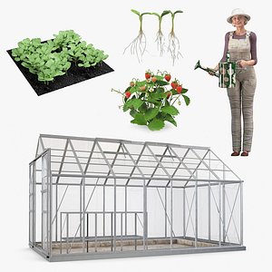 Rigged Gardening Lady with Greenhouse Collection