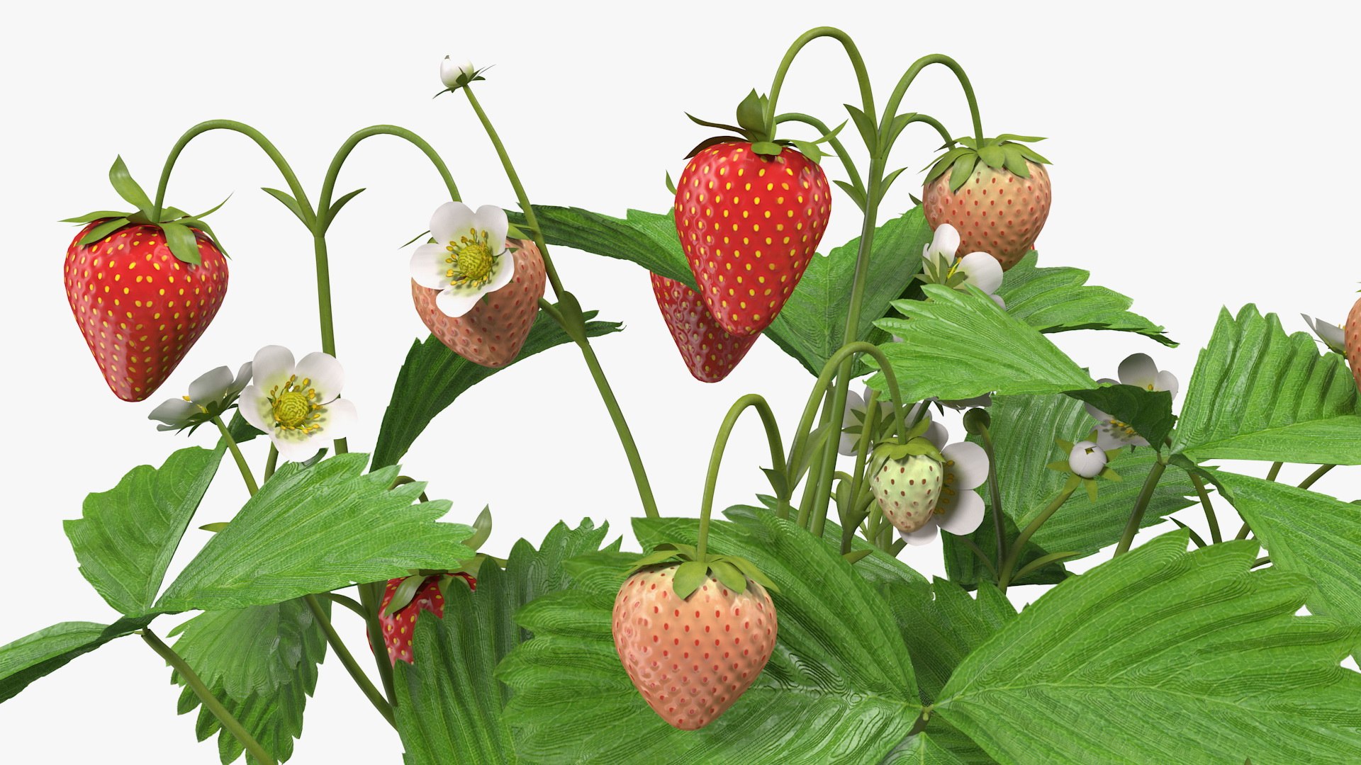 Rigged Gardening Lady with Greenhouse Collection 3D https://p.turbosquid.com/ts-thumb/6U/Q9O0xr/B2/riggedgardeningladywithgreenhousecollectionmb3dmodel060/jpg/1646747844/1920x1080/fit_q87/8f40835fa5f86c1390833f8acab3f5d3f0621a29/riggedgardeningladywithgreenhousecollectionmb3dmodel060.jpg