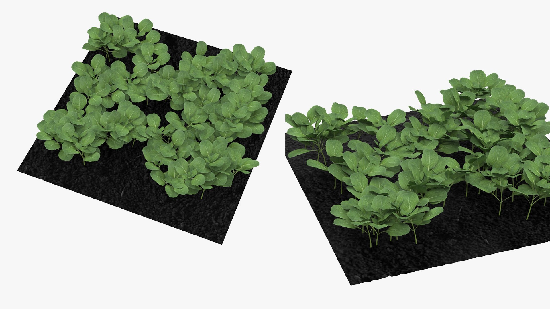 Rigged Gardening Lady with Greenhouse Collection 3D https://p.turbosquid.com/ts-thumb/6U/Q9O0xr/Un/riggedgardeningladywithgreenhousecollectionmb3dmodel065/jpg/1646747860/1920x1080/fit_q87/3026a352bb50e0ffb841a3f75096db0849b4794e/riggedgardeningladywithgreenhousecollectionmb3dmodel065.jpg