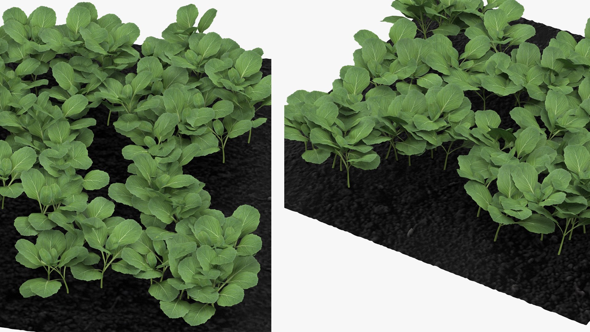 Rigged Gardening Lady with Greenhouse Collection 3D https://p.turbosquid.com/ts-thumb/6U/Q9O0xr/fx/riggedgardeningladywithgreenhousecollectionmb3dmodel066/jpg/1646747863/1920x1080/fit_q87/79af0a29463b2eaa336953a3da5d3ae81a0b8ea0/riggedgardeningladywithgreenhousecollectionmb3dmodel066.jpg